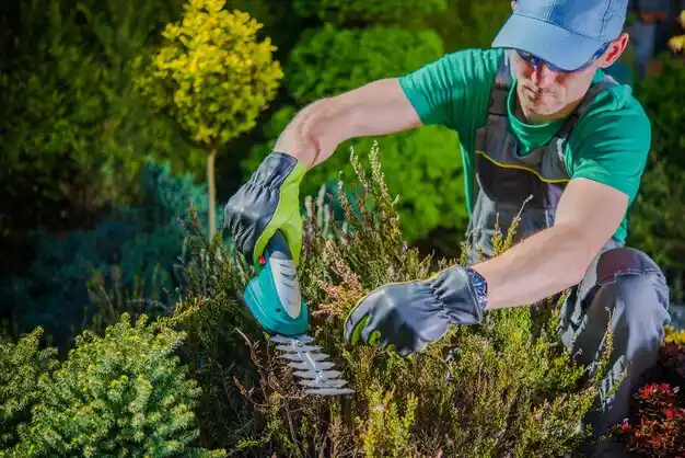 landscaping services Chalco